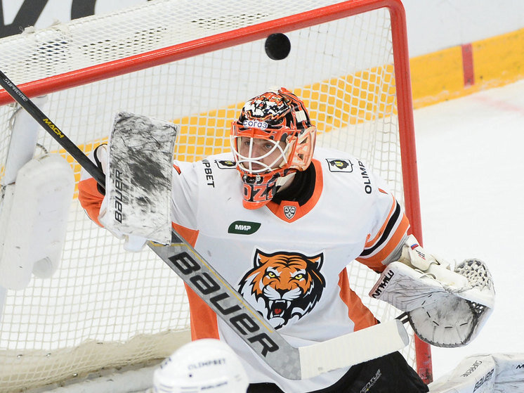     На этот раз без очков – хабаровский «Амур» уступил «Торпедо» со счетом 2:4. Фото: ХК «Торпедо»