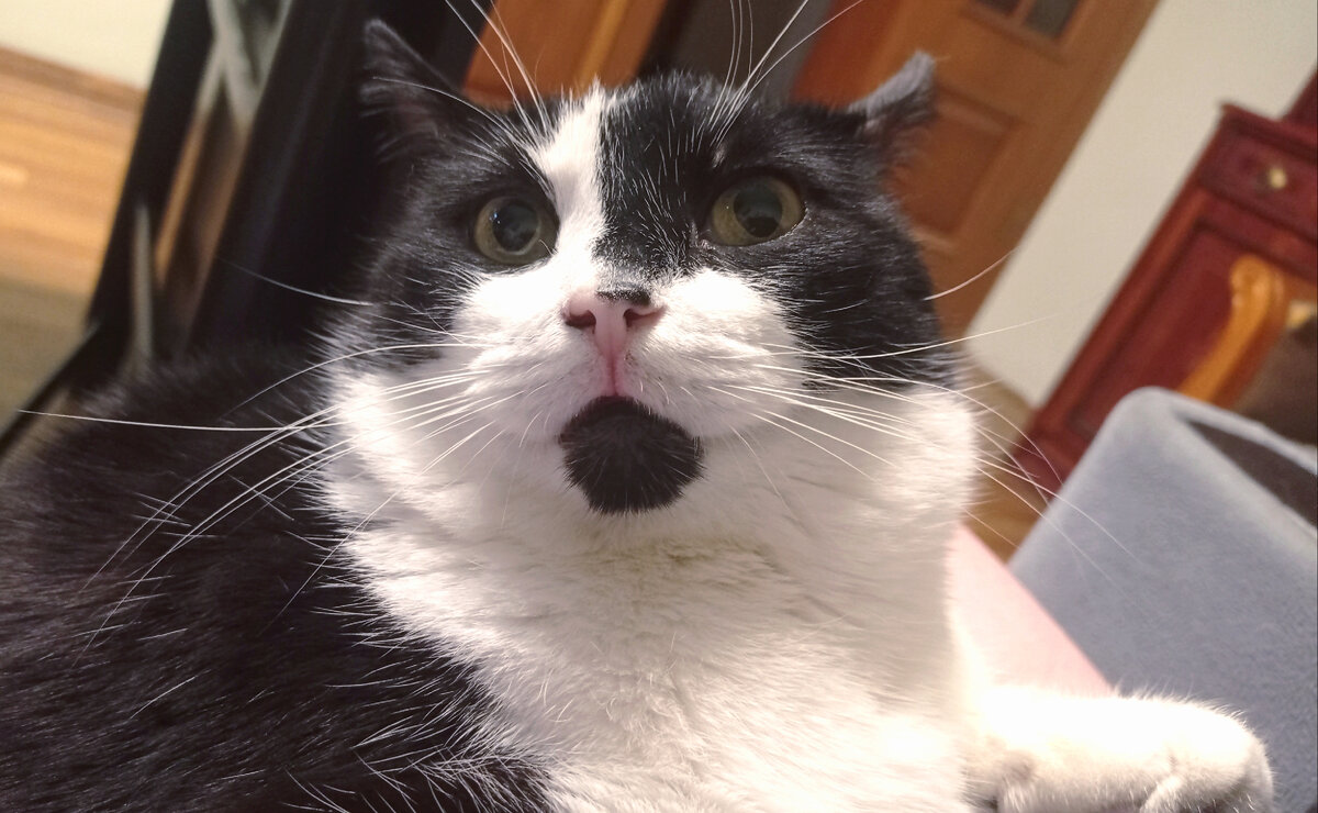 Геральт, который когда-то выбрал нас