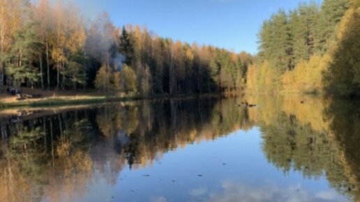 Прощай, золотой октябрь 🍂🍁🍂