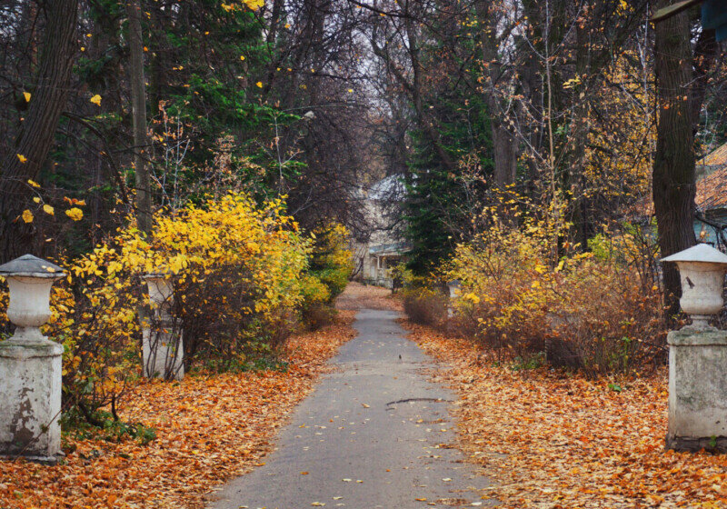 Leaf fall, historical buildings and the best photos of the autumn atmosphere