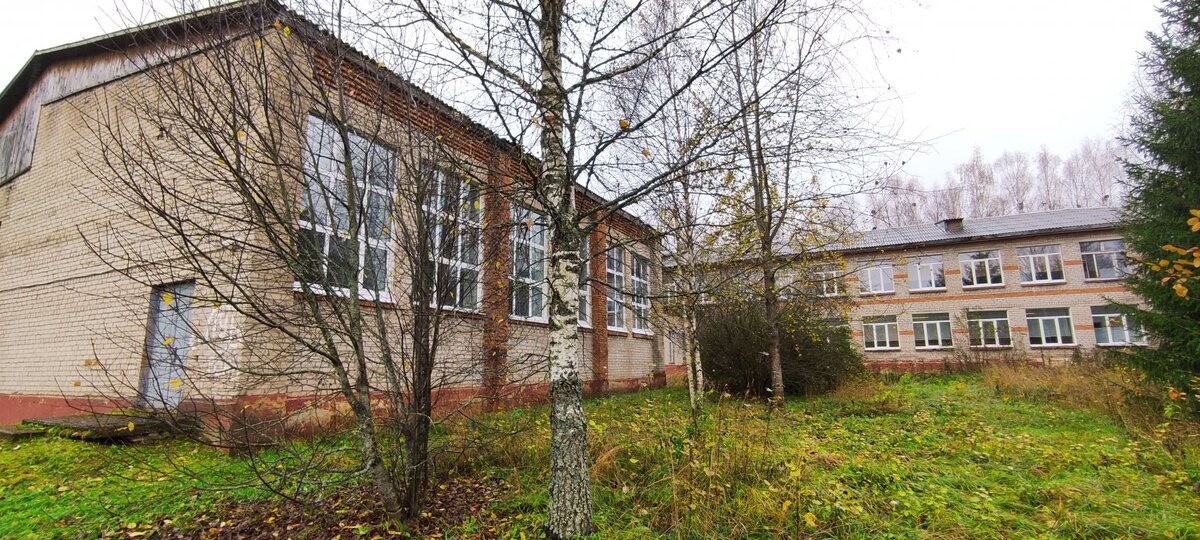 Фото: Виталий Сечин / Вести Подмосковья