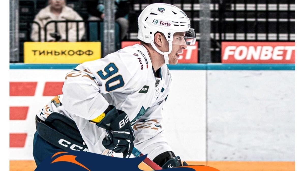    Давид Скленичка:hcbarys.kz