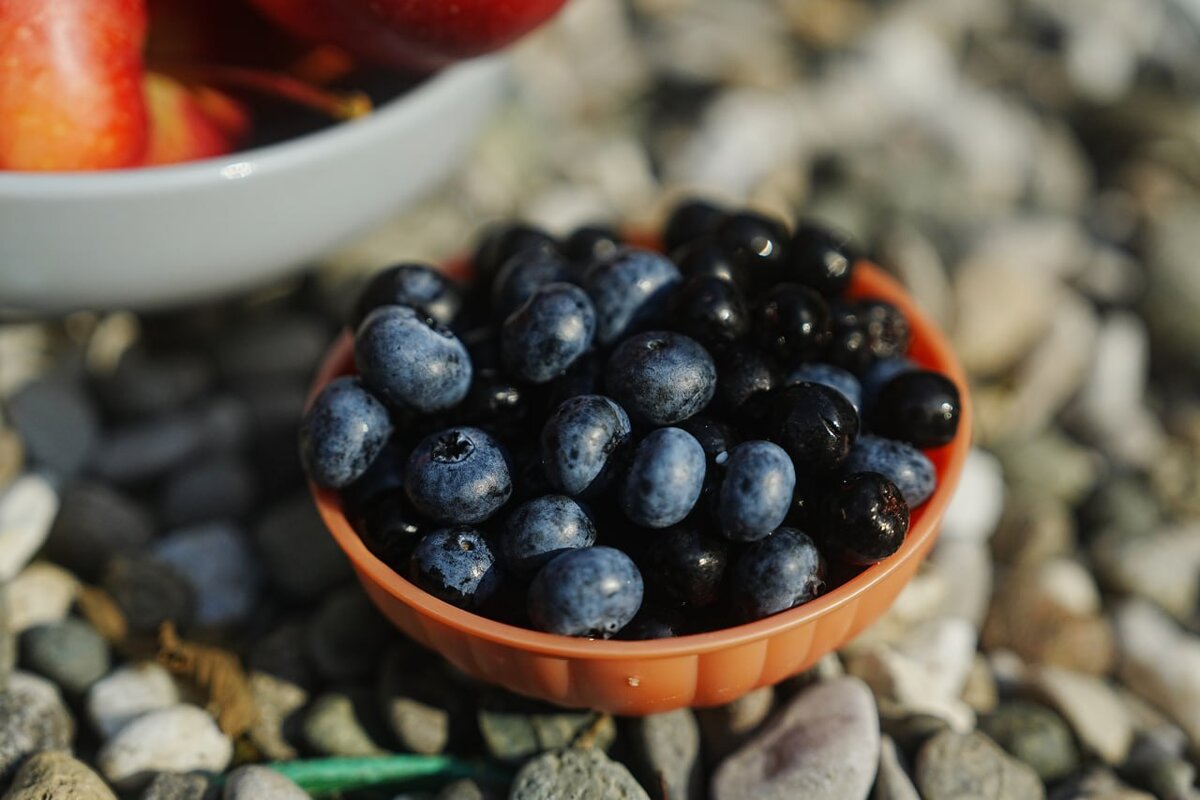 С нами всегда урожайно.
