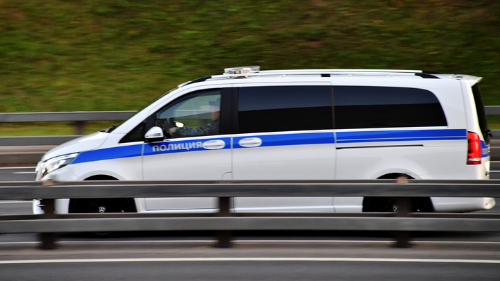 ФОТО: © VLADIMIR BARANOV/GLOBALLOOKPRESS 