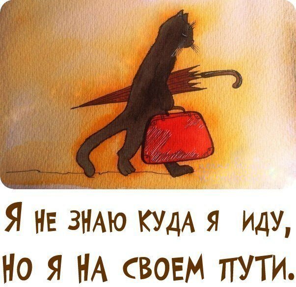 Картинка  из свободных источников. Носит иллюстративный характер.