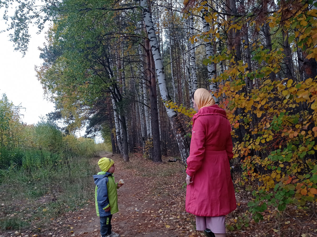 Лесные прогулки