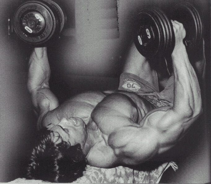 Bench Press Schwarzenegger