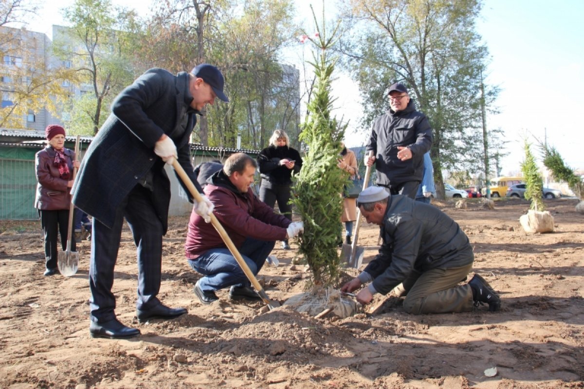    На Нижней террасе в Ульяновске посадили Сад памяти Героев СВО