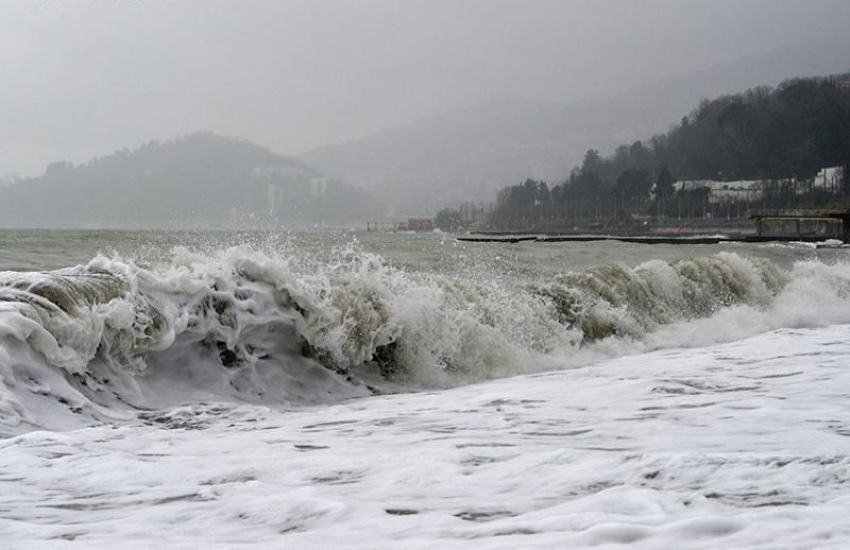 В Черном море в районе Анапы зацвели водоросли - МК