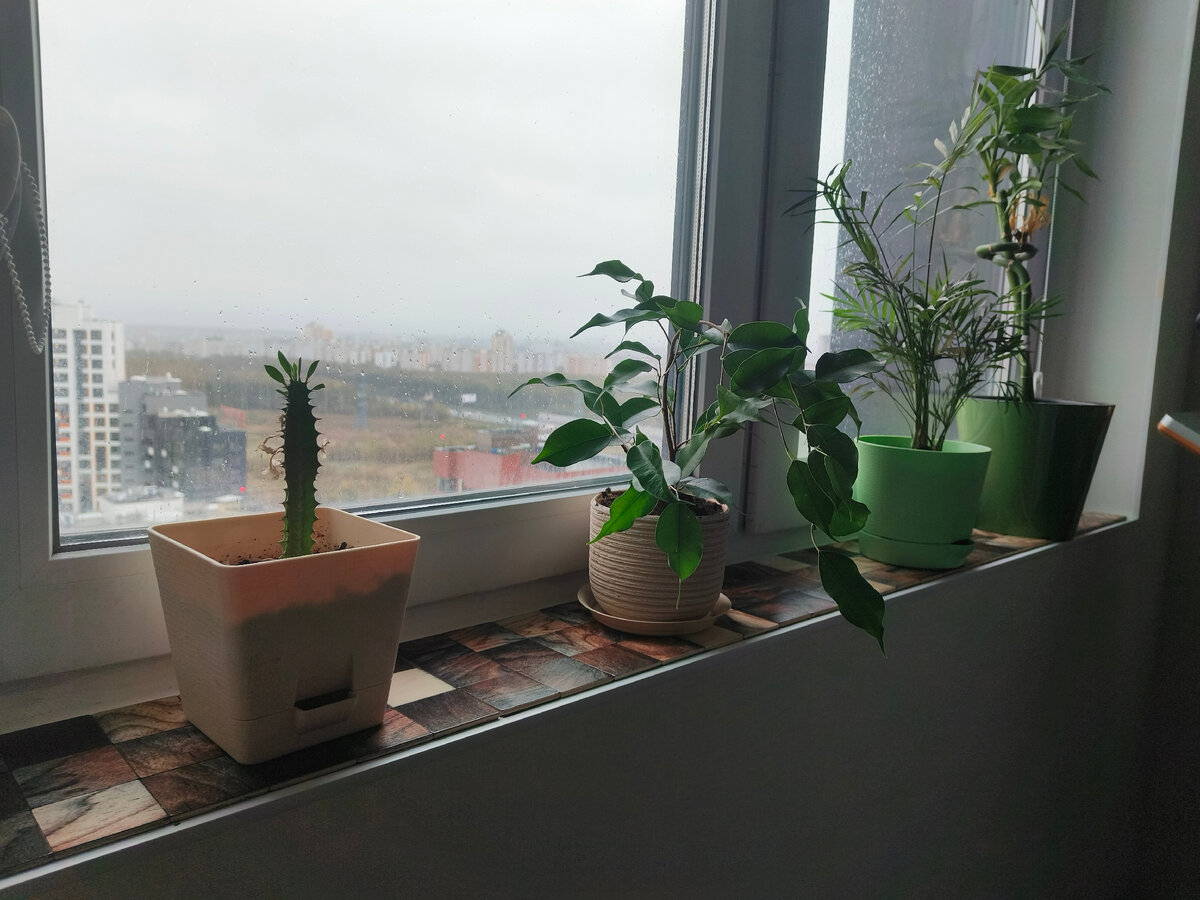 Окно на втором этаже