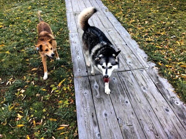    Фото: Никита Чудин. UG.RU