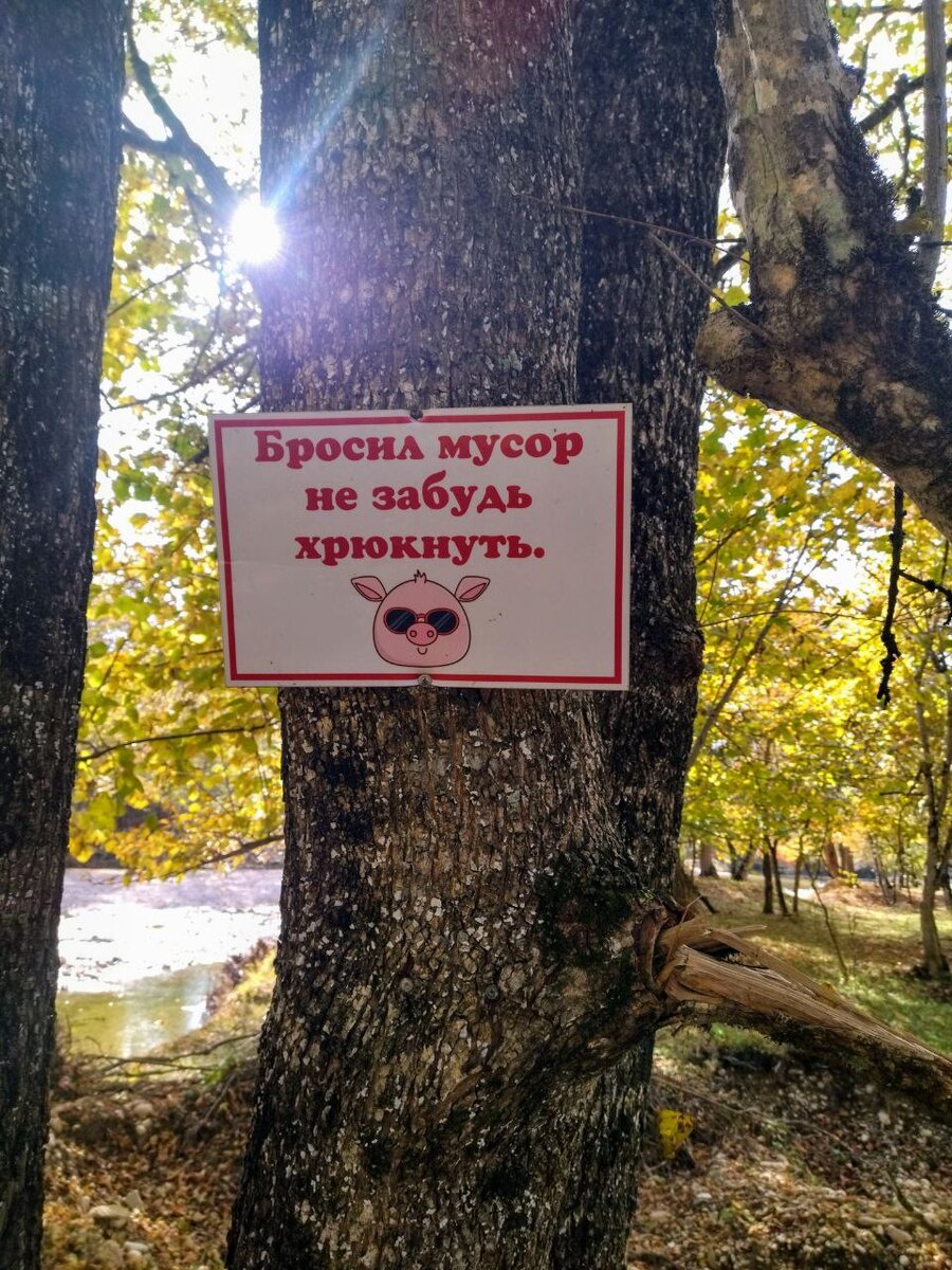 Фото осеннего леса с сегодняшнего пикника. И чудесное напоминание для туристов.