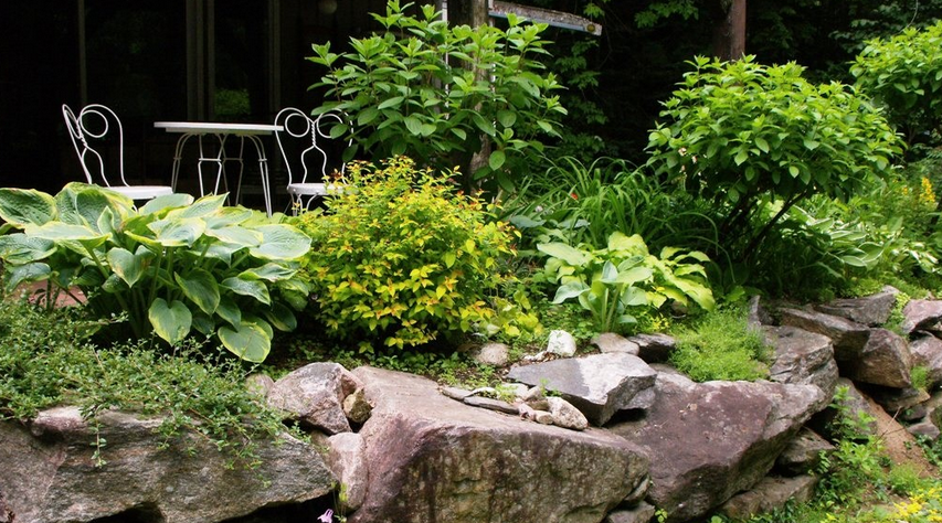 Каменистый Сад фото 21