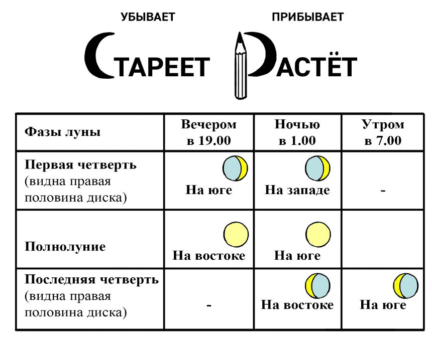 Растущая луна в августе 24. Фазы Луны. Фазы Луны 4 фазы. Определение сторон по фазам Луны. Как узнать время по Луне.