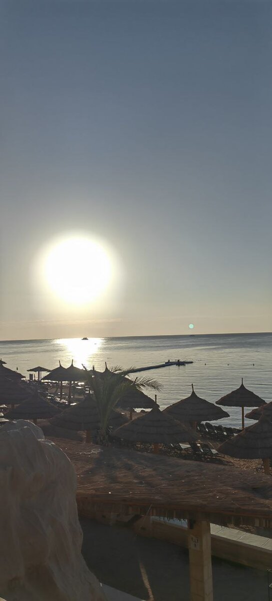 То ли утро, то ли вечер. Всё туманно, серо, как книга, которую я прочитала