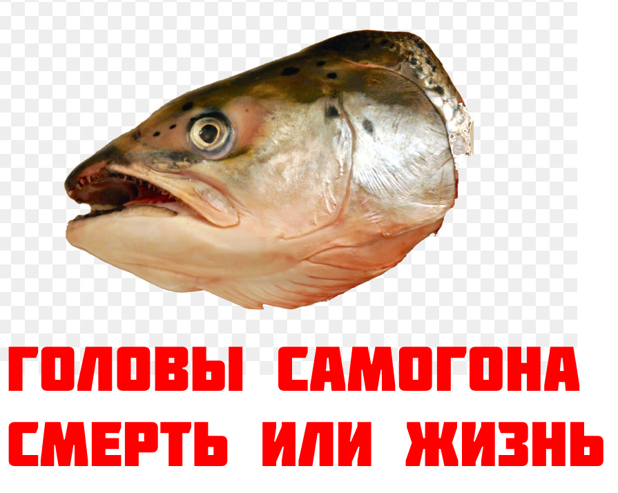 Нужно ли отбирать головы самогона или нет