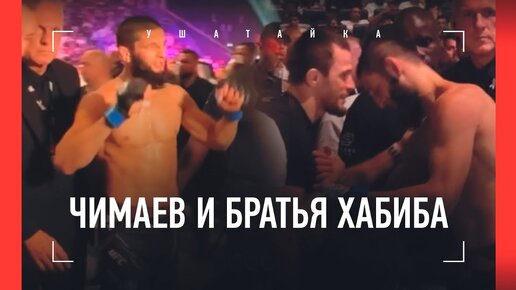 Чимаев после боя пожал руки братьям Хабиба: Хамзат - Камару Усман на UFC 294