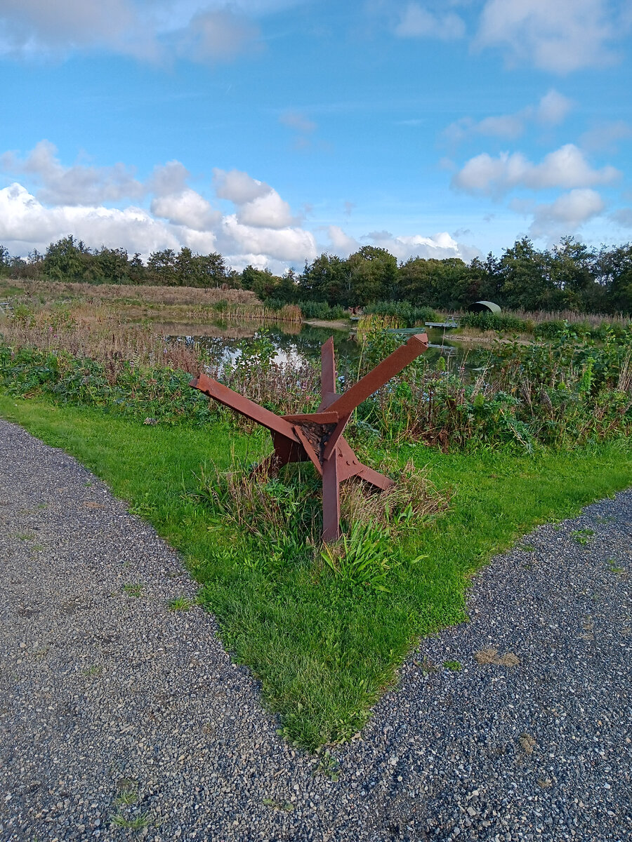 Вот такая мирная картинка на фоне противотанкового ёжа. 