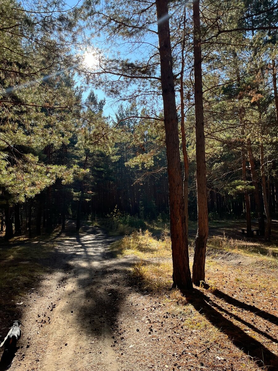 Мы в категории собачников.