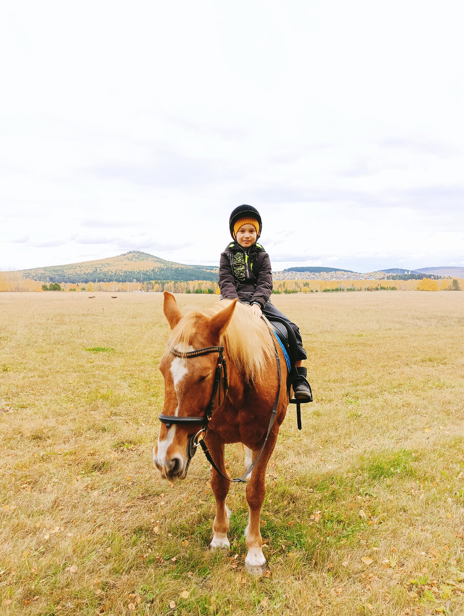 Вышли в поле... 