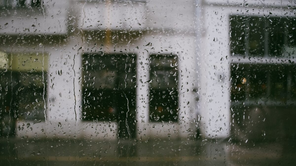    Фото: Andrey Volk / Unsplash Август Макаров
