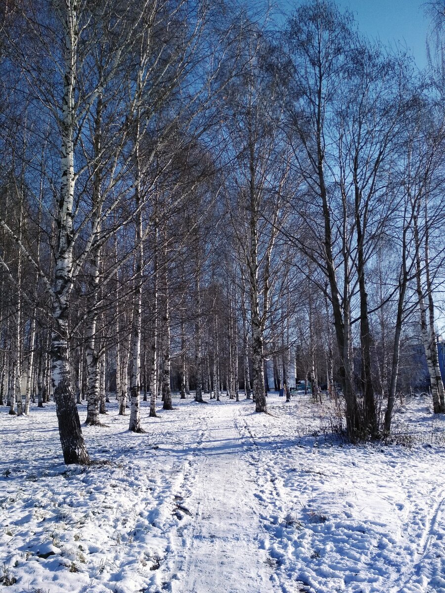 Зима. Фото автора 