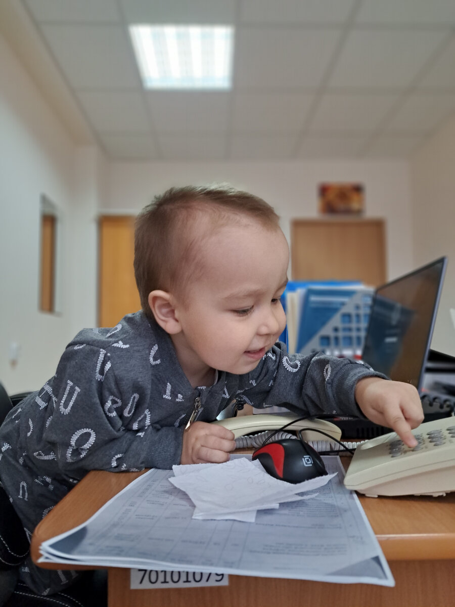 Он себя ведёт как ребёнок, а иногда прям как взрослый человек. Следит за порядком в доме. Его игрушки могут валяться на полу, но чужие носки или что-то ещё, нет. Обязательно мусор выкинет в мусорку, носки в бельевую корзину