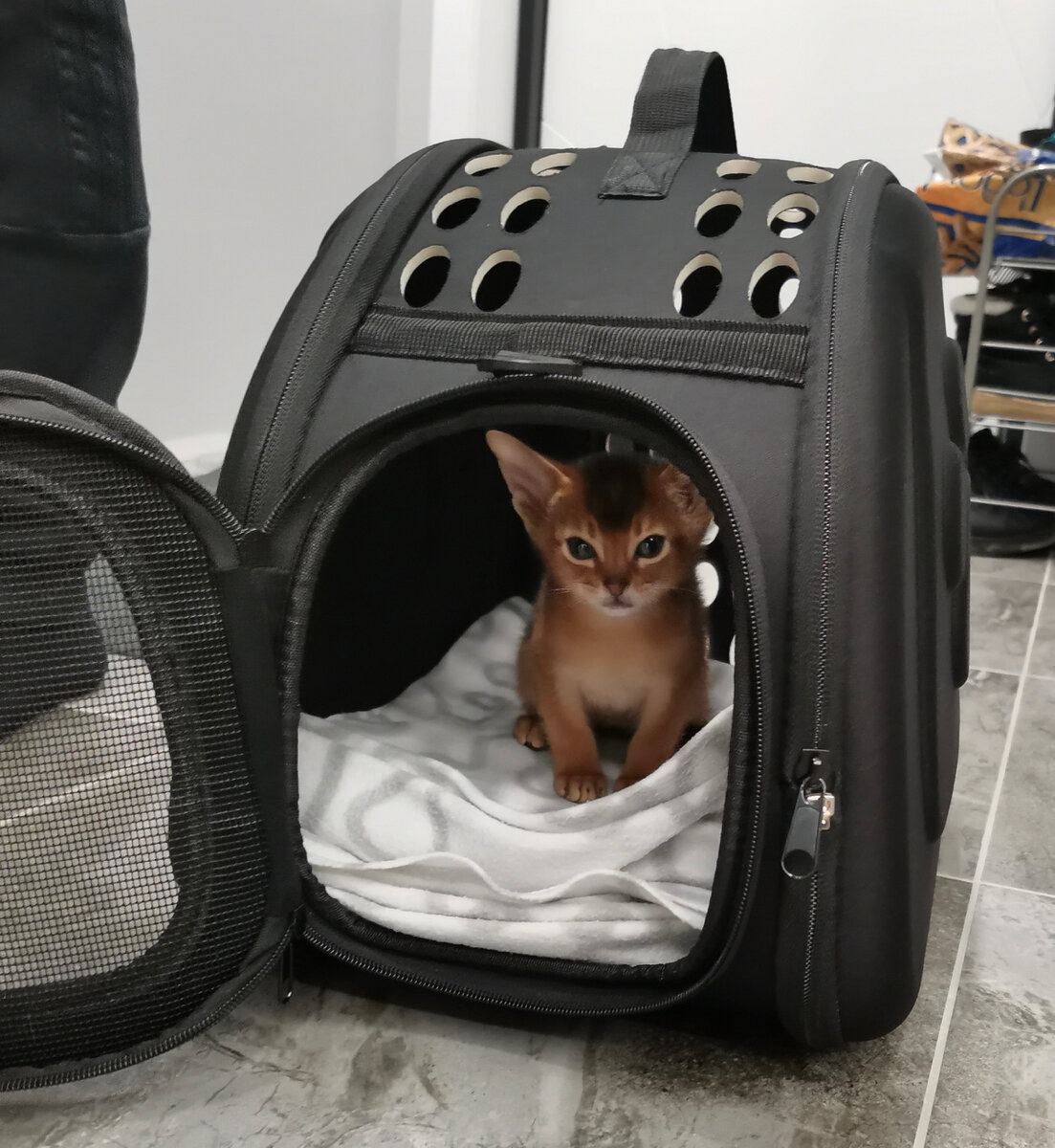 Первые минуты дома.