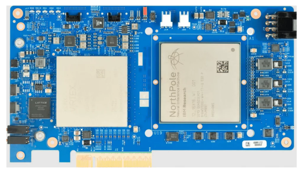 Источник фото: интернет. 