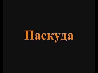Паскуда. Паскуда картинки. Слово паскуда. Человек паскуда