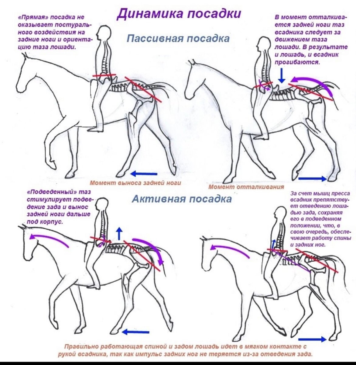 раскраска Всадник и лошадь в прыжке раскраски