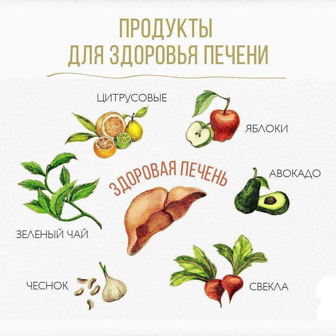 Продукты для восстановления печени. Что полезно для печени. Продукты для печени. Полезная еда для печени. Продукция полезная для печени.