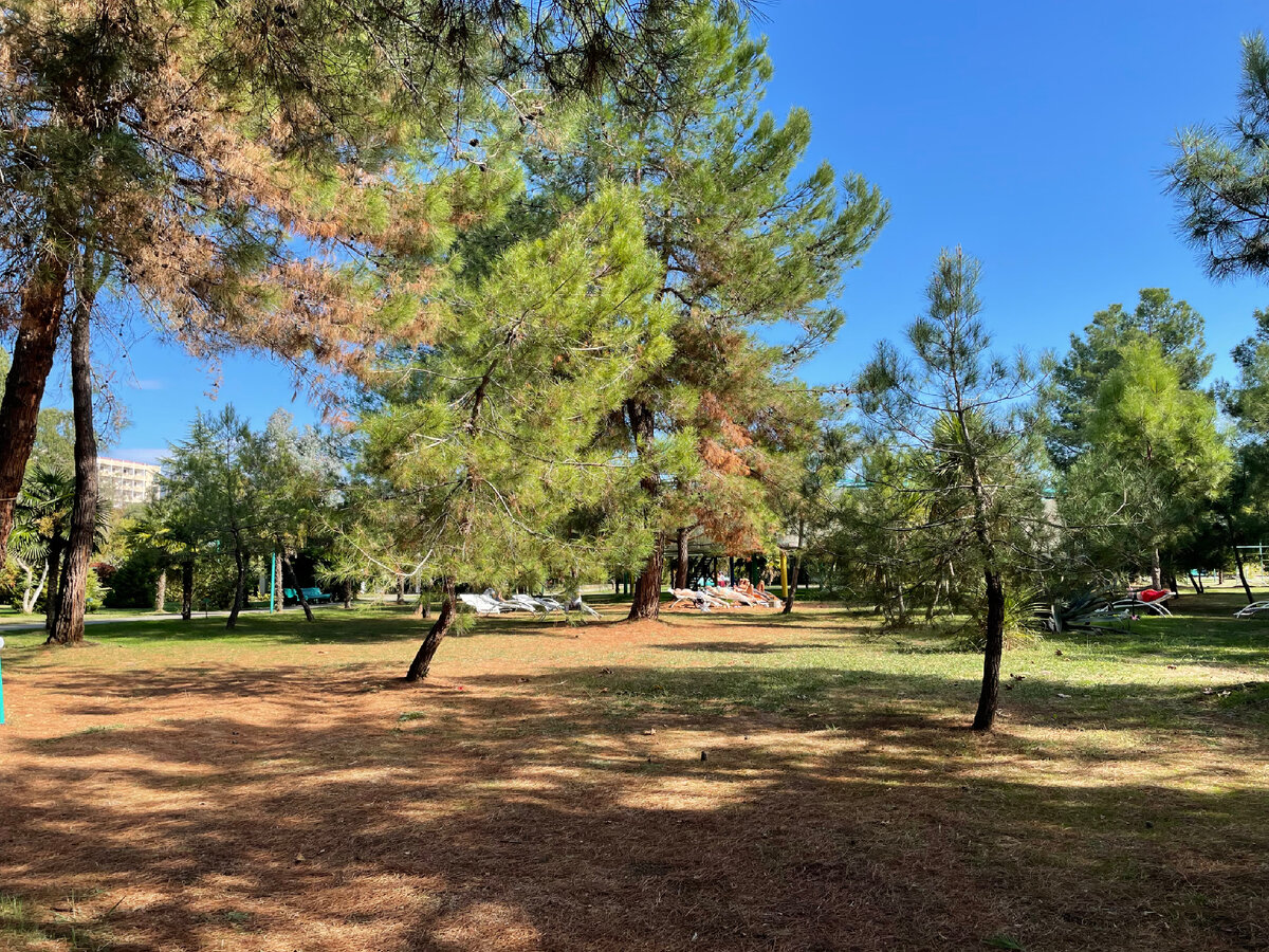 На территории