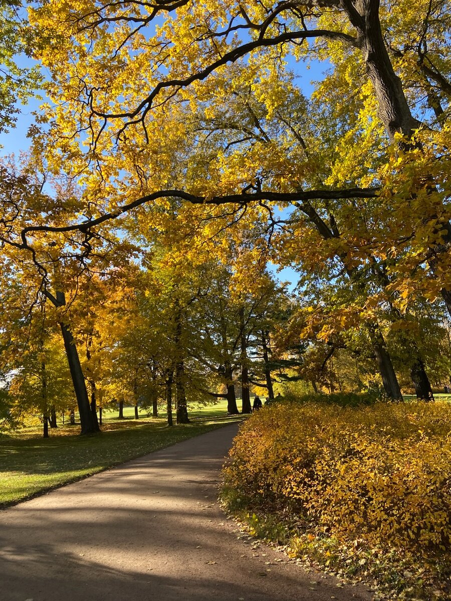 Александрия