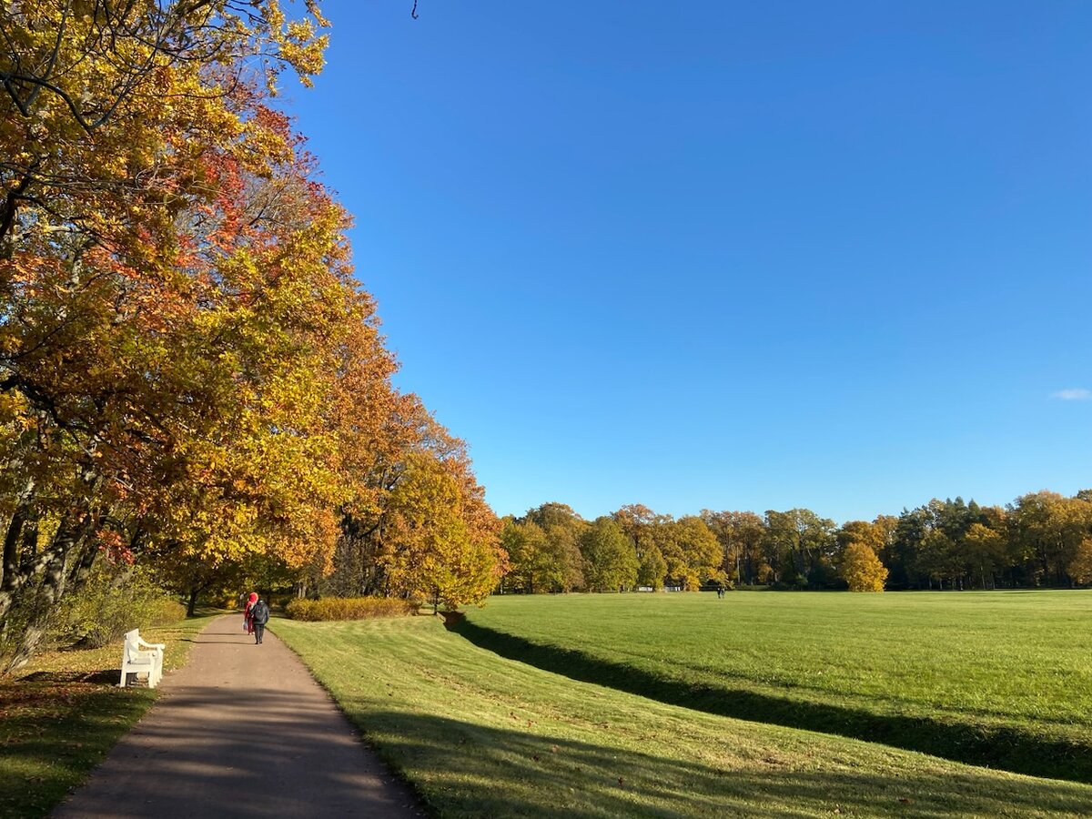 Александрия