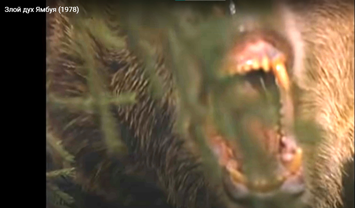 Кадр из фильма "Злой дух Ямбуя". Советую посмотреть этот замечательный фильм по роману Григория Федосеева. 