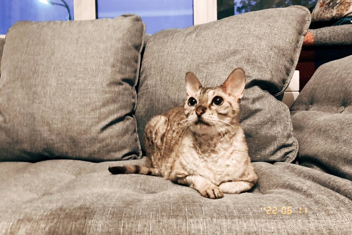 Все фото в статье - авторские!