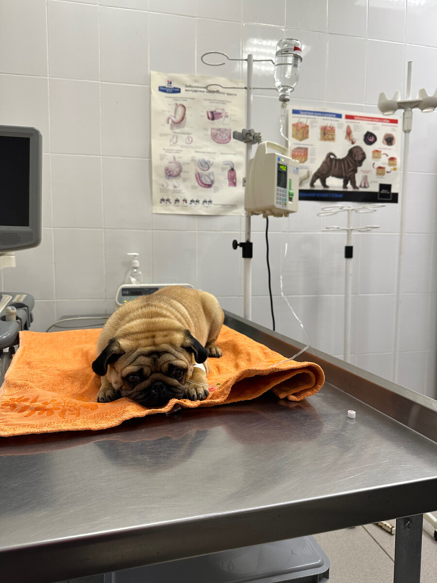 Лежал послушно целых два часа