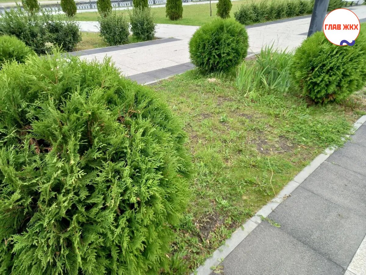 Более 1 000 парков и дворов благоустроили в Саратовской области за 7 лет 