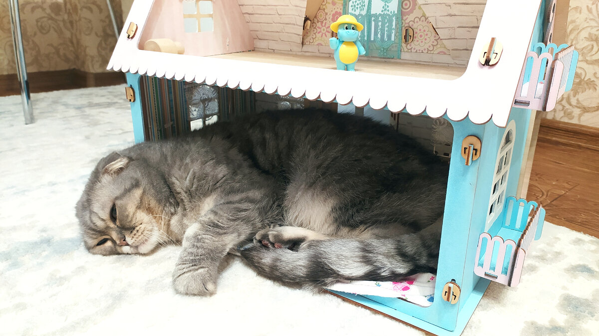 наигрался и прилег отдохнуть)