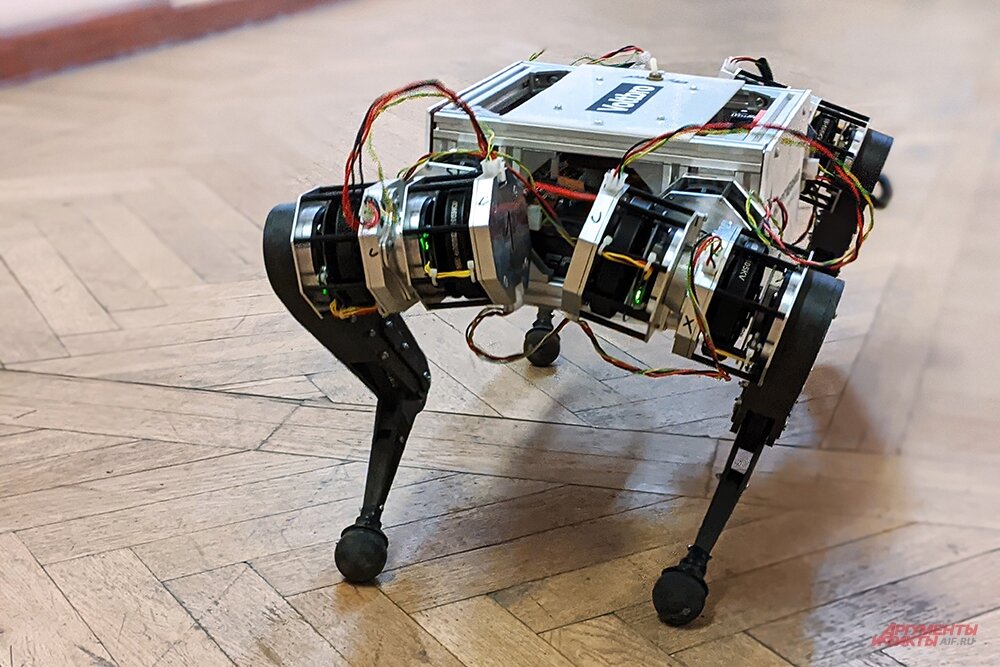 Самая главная задача при создании шагающих роботов. Двуногий шагающий робот МГУ. Механическая собака. Шагающий робот Россия. Робот собака МГУ.