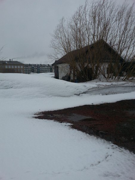 Фото 2014 года