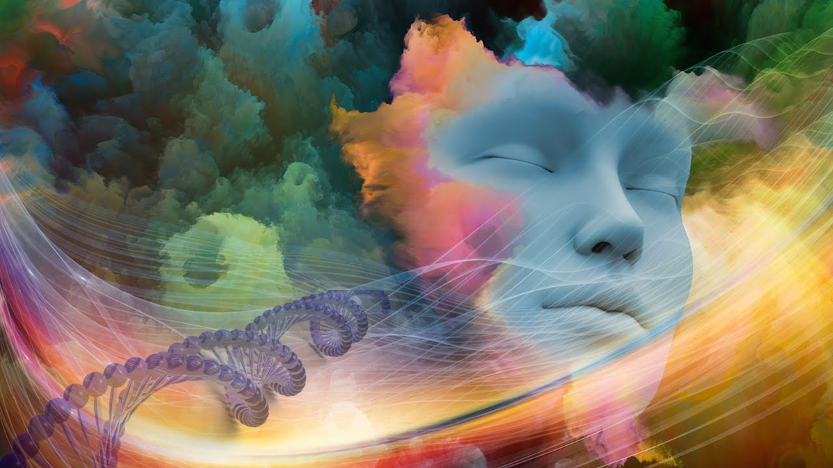 Фотография взята из источника yandex.ru