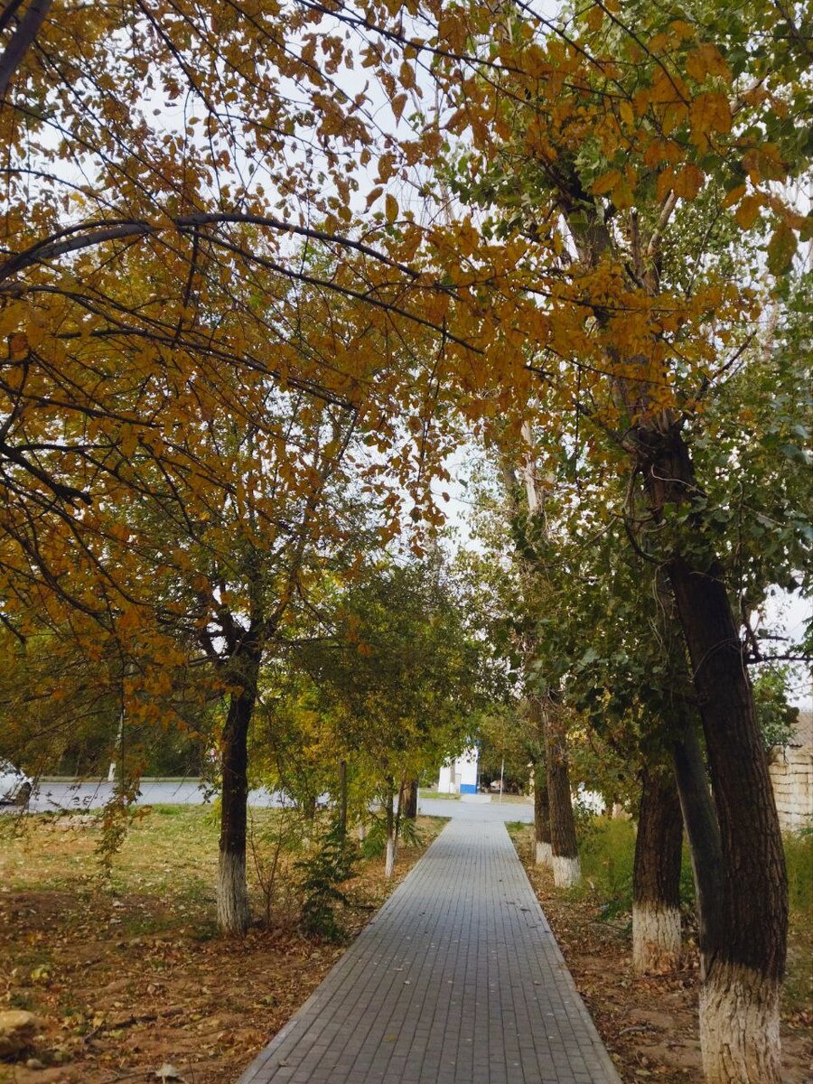 Как бы аллея. На фото смотрится симпатичнее...