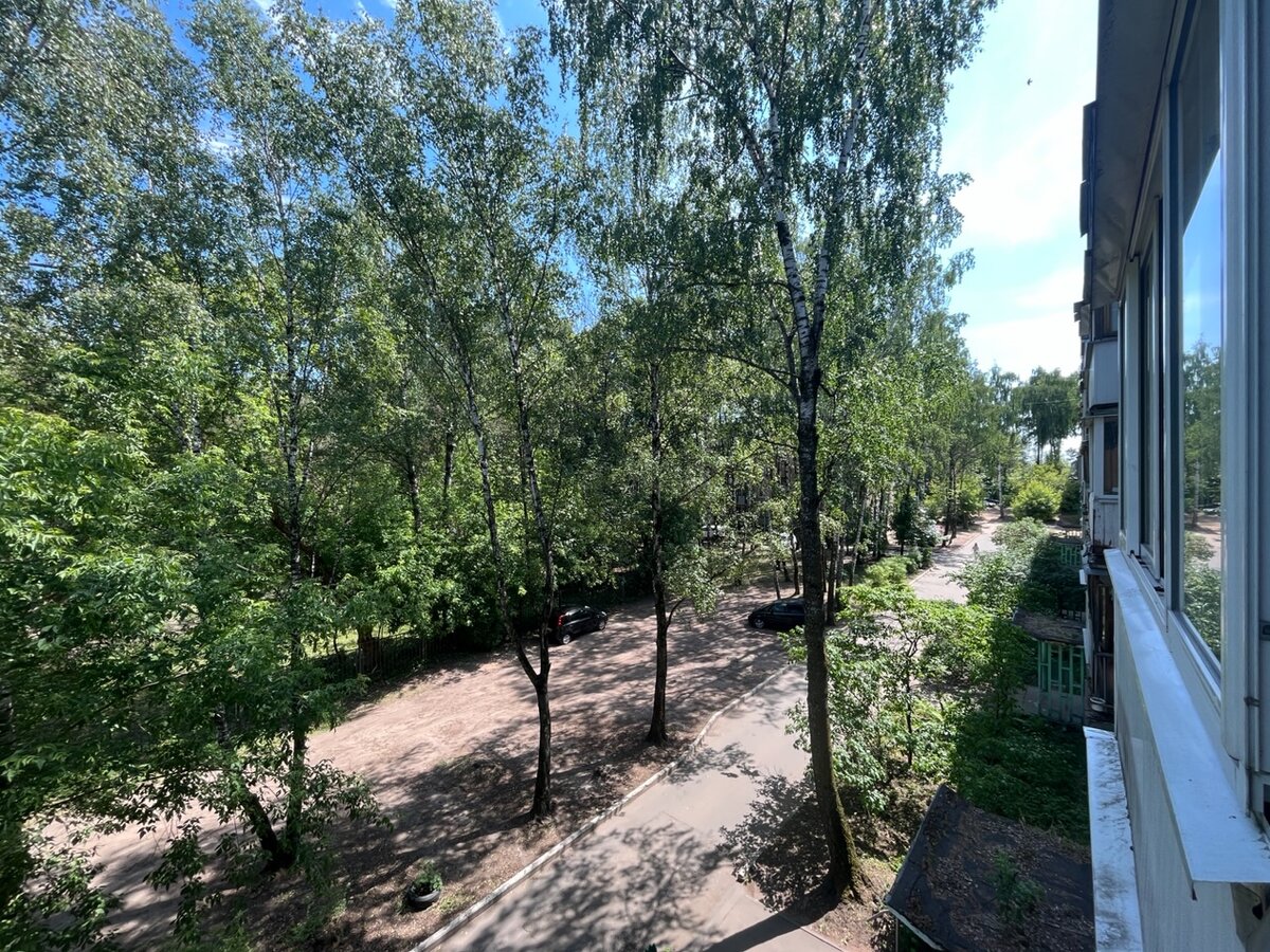 Двор жилого дома на окраине Твери (проспект Николая Корыткова). Дворик очень тенистый, однако в самые долгие дни в конце июня солнца очень много и оно проникает под каждый кустик.