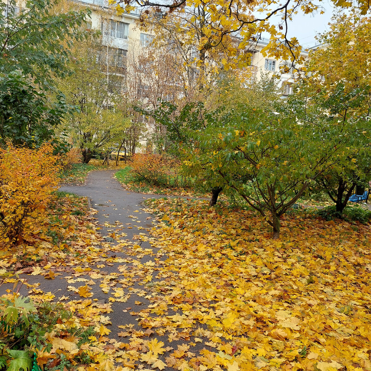 Фото из личного архива.