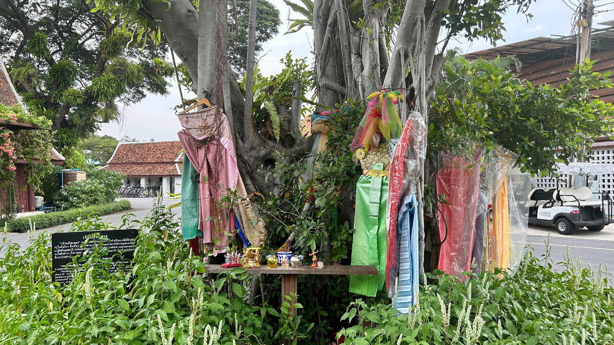 Понятно, что дерево священное, но непонятно причем тут платья