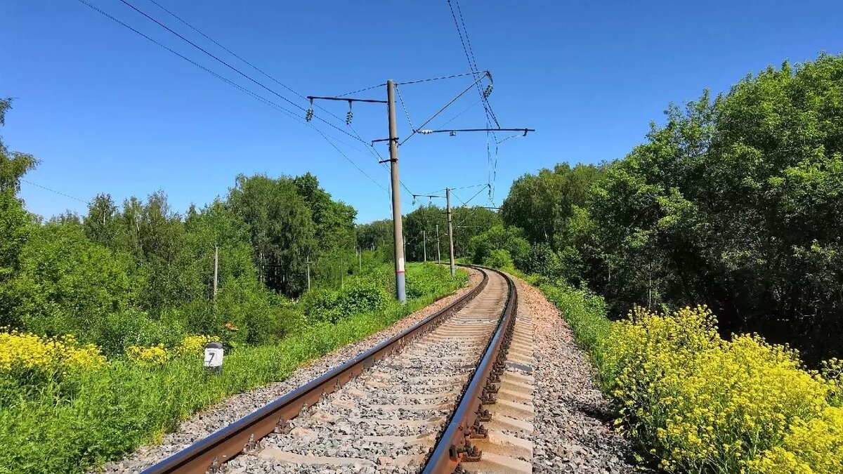     За первые три квартала 2023 года на объектах железнодорожной инфраструктуры произошли несчастные случаи, в которых получили травмы 79 человек. Об этом информирует пресс-служба «Горьковской железной дороги».