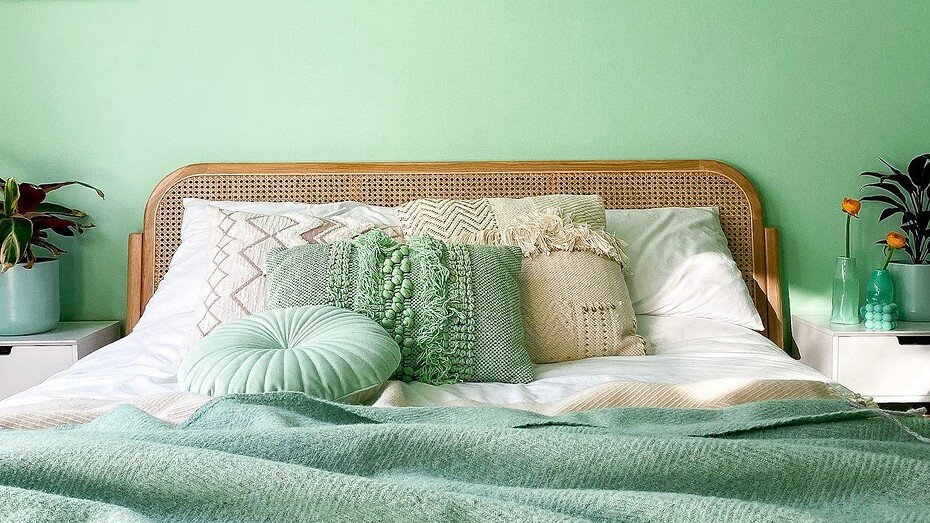 Соцсети блогера 53houseplantsandme