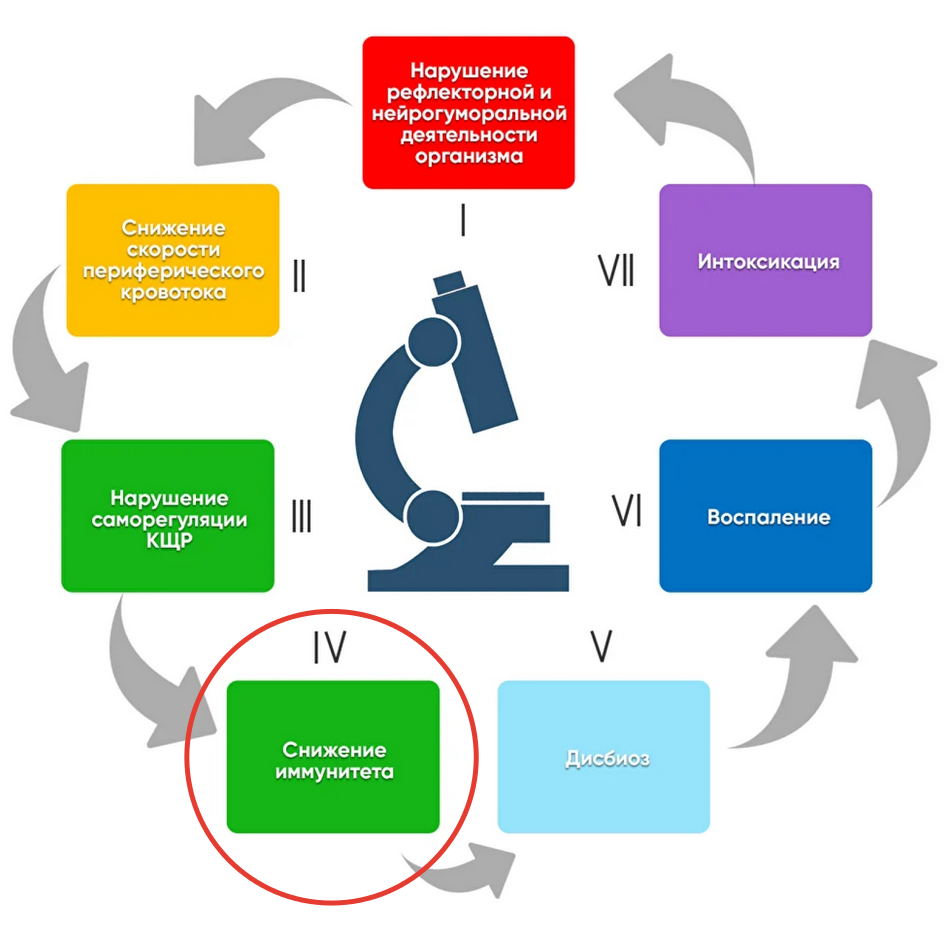 что такое обязательное событие. инфографика работа. ежедневные обязательные мероприятия. шишова лимфатический массаж. ежедневные обязательные мероприятия.